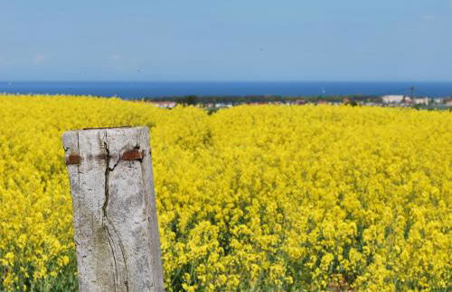 Gemütliches Bungalow an der Ostsee - Photo 34