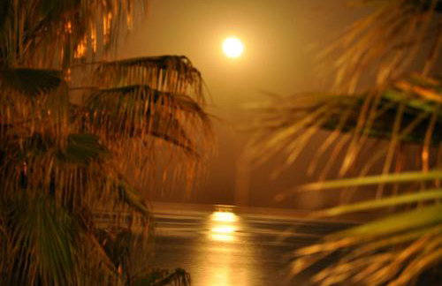 Private Beach Villa for 6 with Seaview, Pool & big Sun Terrace - Foto 41
