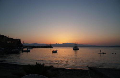 Myrtilo Waterline 2 (Orange) - Foto 16