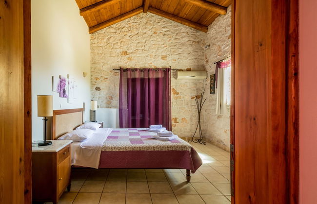 Tierra Olivo - Foto 15