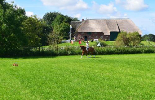 Der historische Silberhof von 1856 - Foto 43