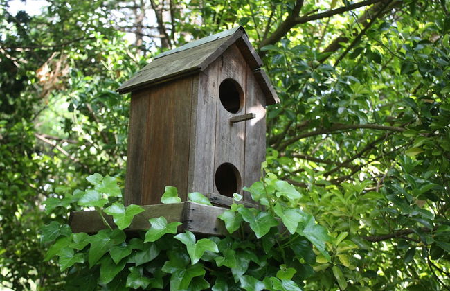 Secrets Hideaway - Foto 13