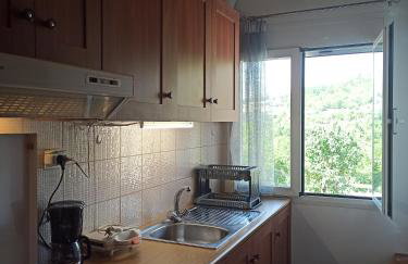 ELLI΄S HOUSE ΣΥΓΧΡΟΝΟ ΣΠΙΤΙ ΣΤΑ ΠΡΑΜΑΝΤΑ - Photo 16