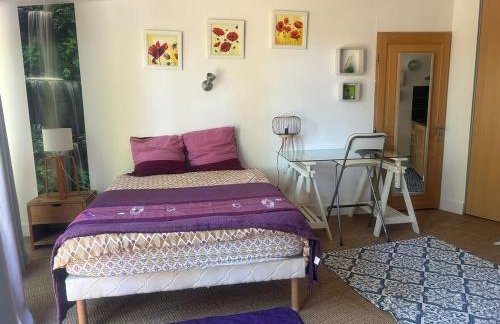 Studio in nature 5 minutes from Montpellier North - Foto 9