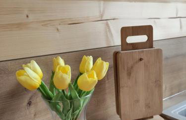 Borowikowe Zacisze drewniane domy z kominkami - Foto 38