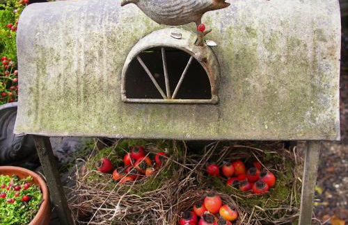 La Traversina - Agriturismo di Charme - Foto 121