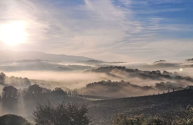 2 bedroom House in Cinigiano with private pool and garden - Photo 6