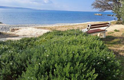 Apartments Gardelin Paklenica - Photo 64