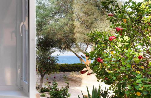 Maison Miramar Cabo Cervera - Foto 37