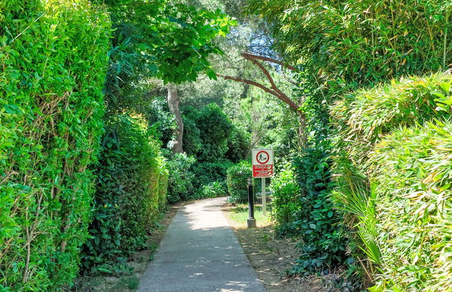 Les Morières - Foto 32