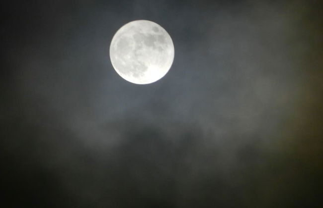 Cosy 5m Bell Tent Glamping in Rural Herefordshire - Foto 31