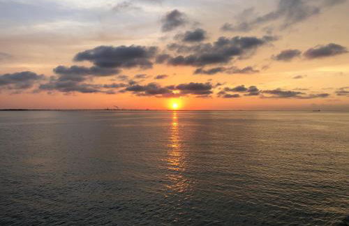 The Minted Mermaid - Foto 31