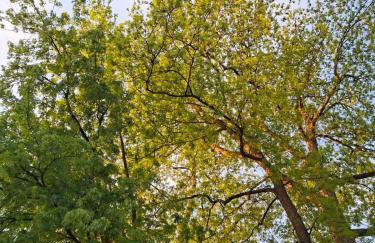 Agriturismo Settepassi Tuscany - Photo 23