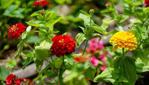 Villa Stumpf - Foto 4