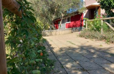 Azienda Agrituristica Le Betulle - Foto 143