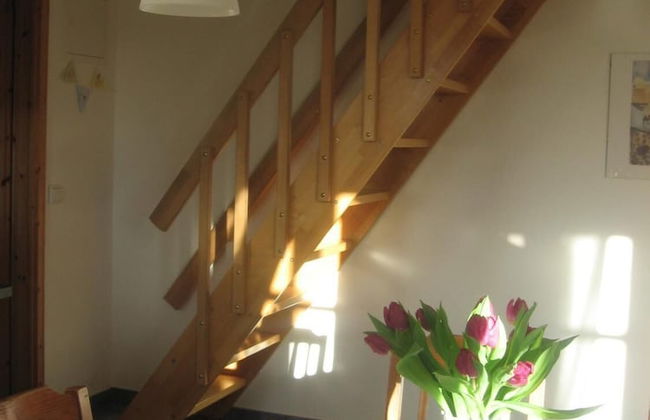 Dorotheenhof - Foto 18