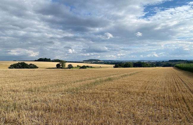 Spacious Holiday Home in the Teutoburg Forest - Foto 24