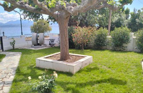 Tas Millstone Seaside House - Foto 3