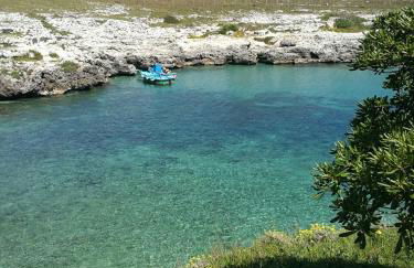 Badisco Vacanze - Foto 62