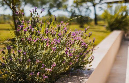 Apartments Olea - Foto 10