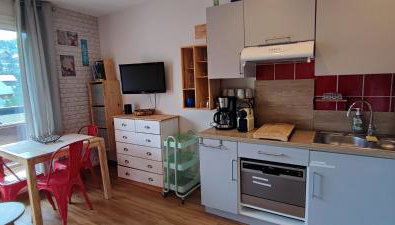 studio Loubat pyrénée, ménage inclus - Foto 4