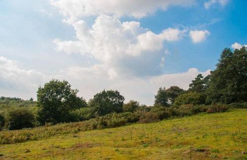 Queenies, an authentic Rural Style coastal cottage in a Nature Reserve - Foto 12