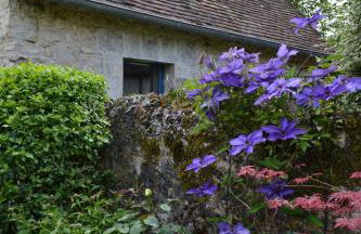 Gîte de charme proche du Zoo Beauval et Châteaux - Photo 61