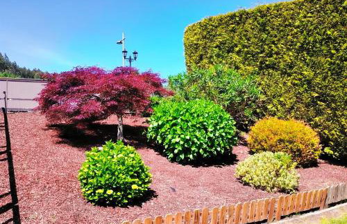 Finca O Loureiro - Foto 18