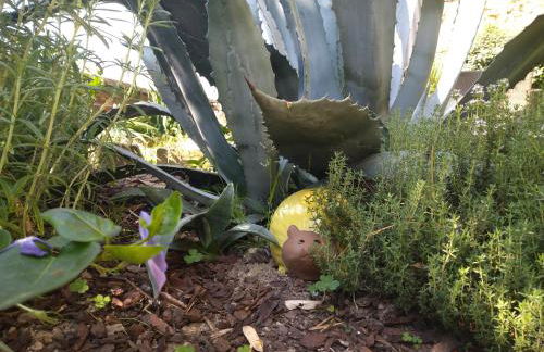 Le Gite de la Loire - Photo 34