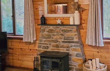 Luxury Wood Lodge with sauna, log burner & private woodland garden - Wnion Wood Lodge - Foto 11