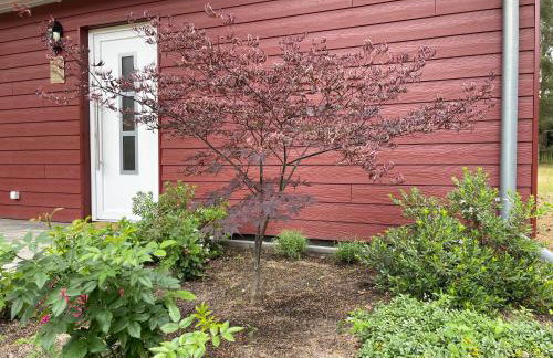 Ferienhaus Eichelhäher - Photo 43