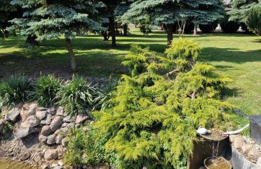 Bylew Zacisze - Foto 22