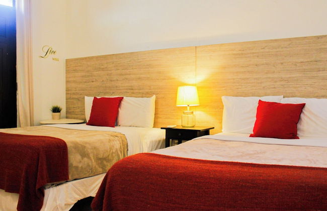 Gladiolas 2202 - Foto 2