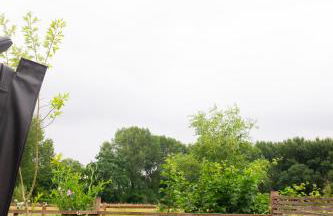 Moors Wood Relaxing ,Tranquil retreat with Hot Tub - Foto 34