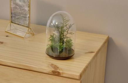 Private Home - Playground, Jumping Mat, BBQ, Darts, Firepit, Gazebo, 4 Smart TVs, White Cotton Bedding, - The Redwood Cul-De Sac Beach Retreat - Foto 32