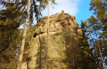 Pod klonem z Balią i Sauną - Foto 44