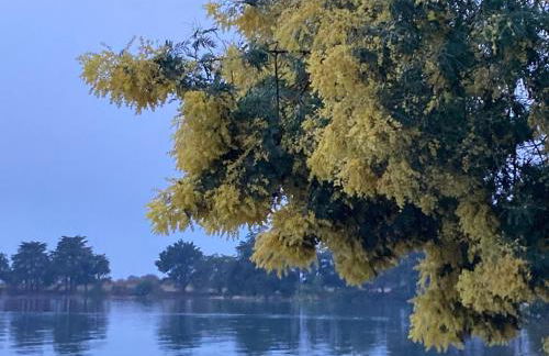 Site exceptionnel accès mer grands espaces - Foto 35