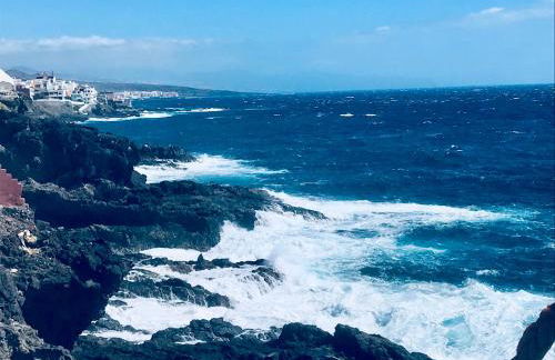 Studio 1 Hab - Foto 15