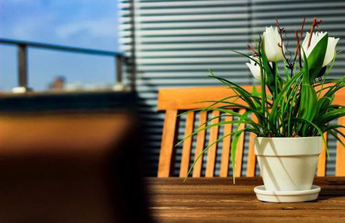 Apartamento da Lapa - Foto 25