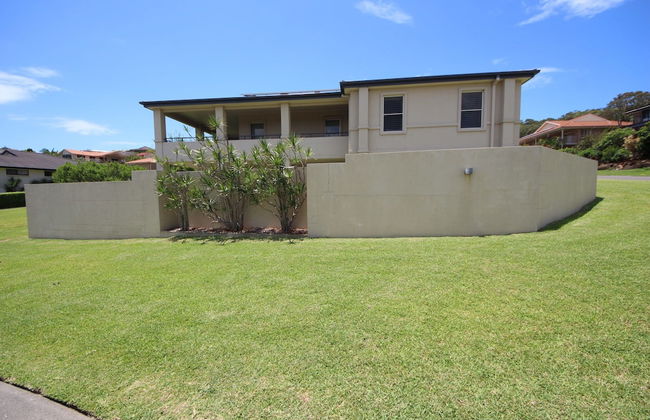 Geckos at South West Rocks - Photo 11