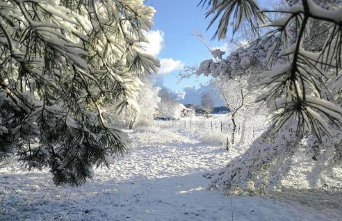 Gorgeous Home In Kowalewo With Wifi - Photo 21