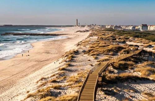 Bird’s Home - Foto 60