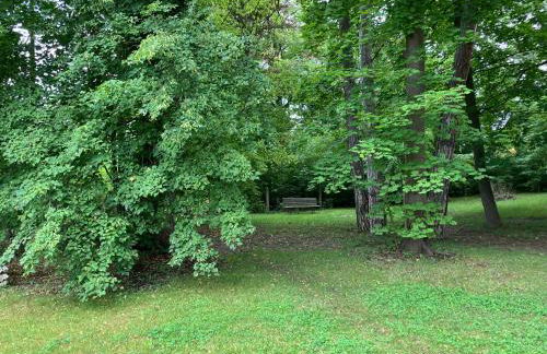 Ferienwohnung am Saaleknie - Foto 15