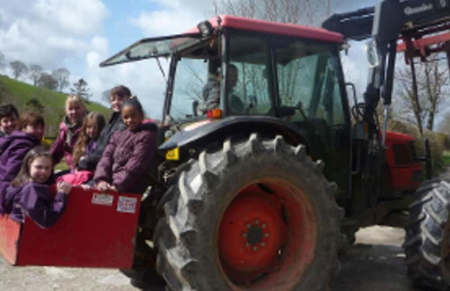 Relaxing Holidays in the Old Water Mill at Cwmiar - Photo 10
