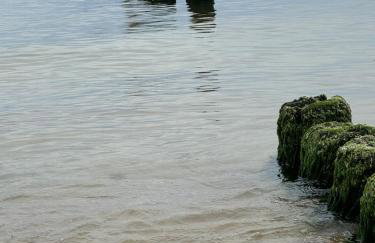 Hevenia Apartament Mistral Mrzeżyno - Foto 30