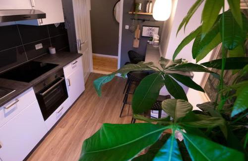 Natürlich mit Stil - 24-7 und Check-in - Foto 6