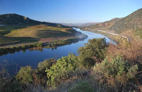 Douro Valley-Casa do Vimieiro - Foto 48