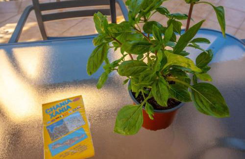 Chania Paradise Retreat - Photo 33