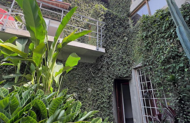 Son de La Loma Apartments - Photo 25