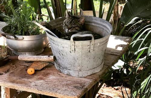 Appartamento esclusivo con giardino - Foto 8